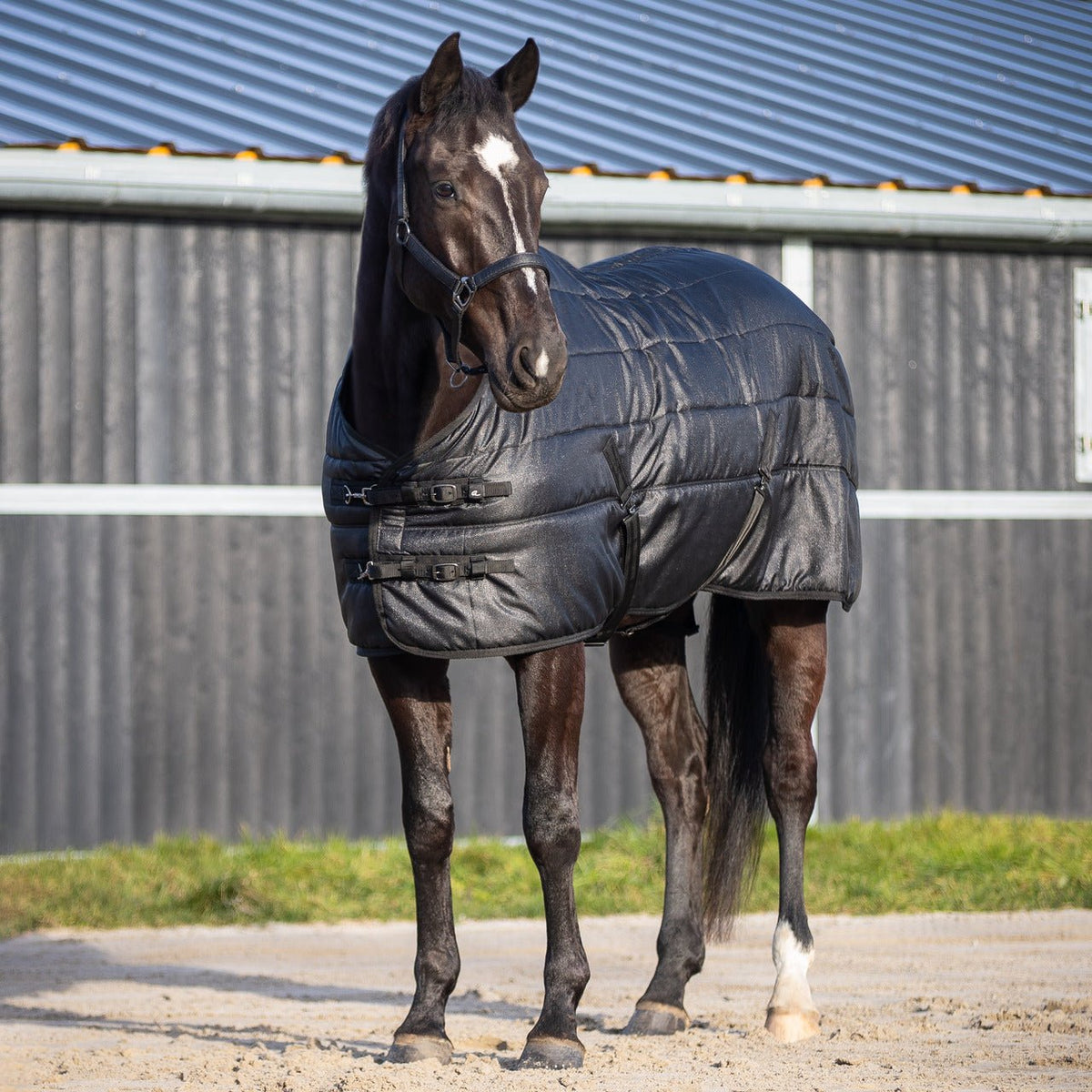 Glitter Stable Rug 150g - Nags Essentials