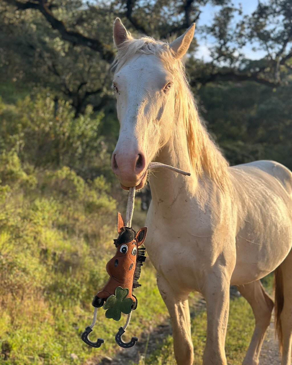 Good Luck Horse Toy - Nags Essentials