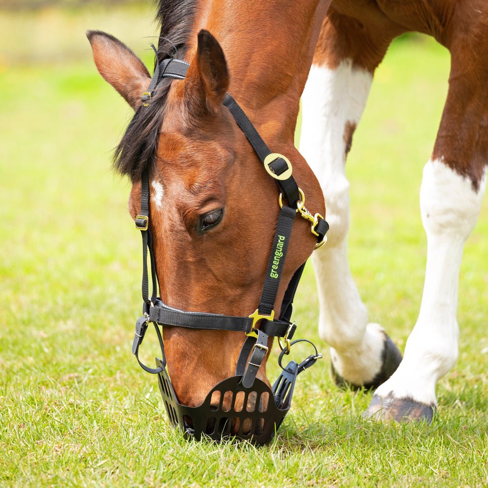Greenguard Grazing Muzzle - Nags Essentials