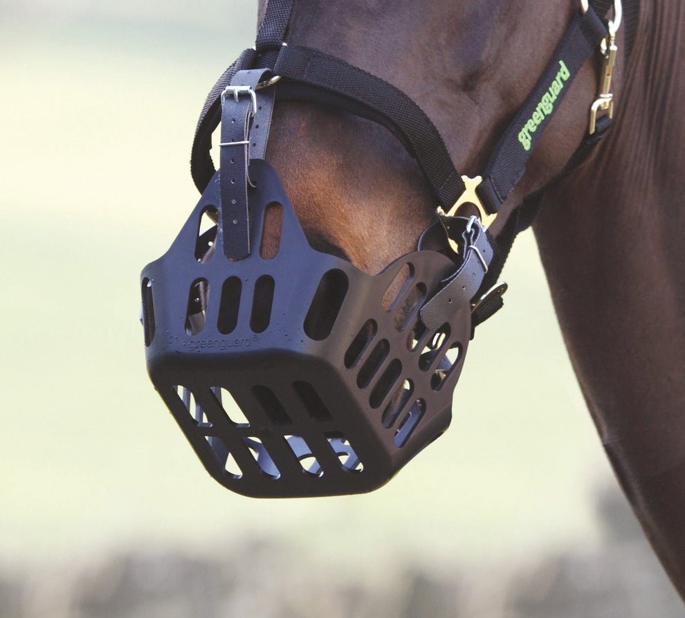 Greenguard Grazing Muzzle - Nags Essentials