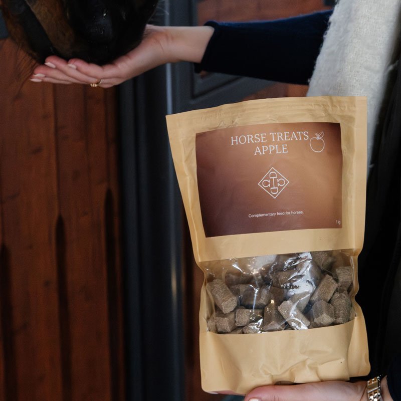 Grooming Deluxe Horse Treats - Nags Essentials