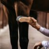 Grooming Deluxe Middle Hard Grooming Brush - Nags Essentials