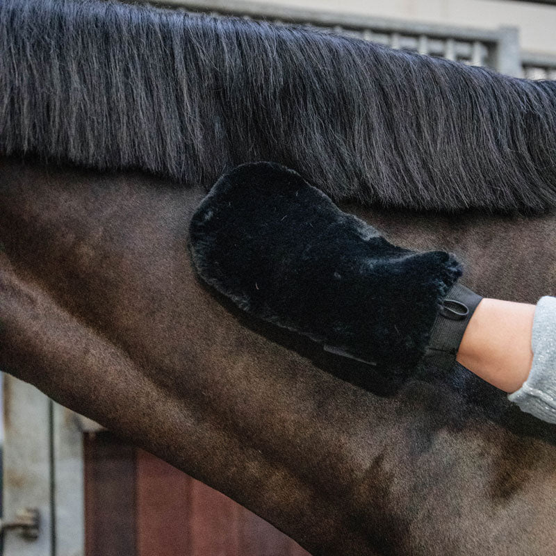 Grooming Deluxe Sheepskin Grooming Glove – Black - Nags Essentials