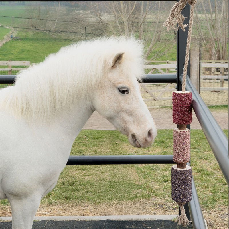Grooming Deluxe Wooden Relax Horse Toy – De - Stress - Nags Essentials