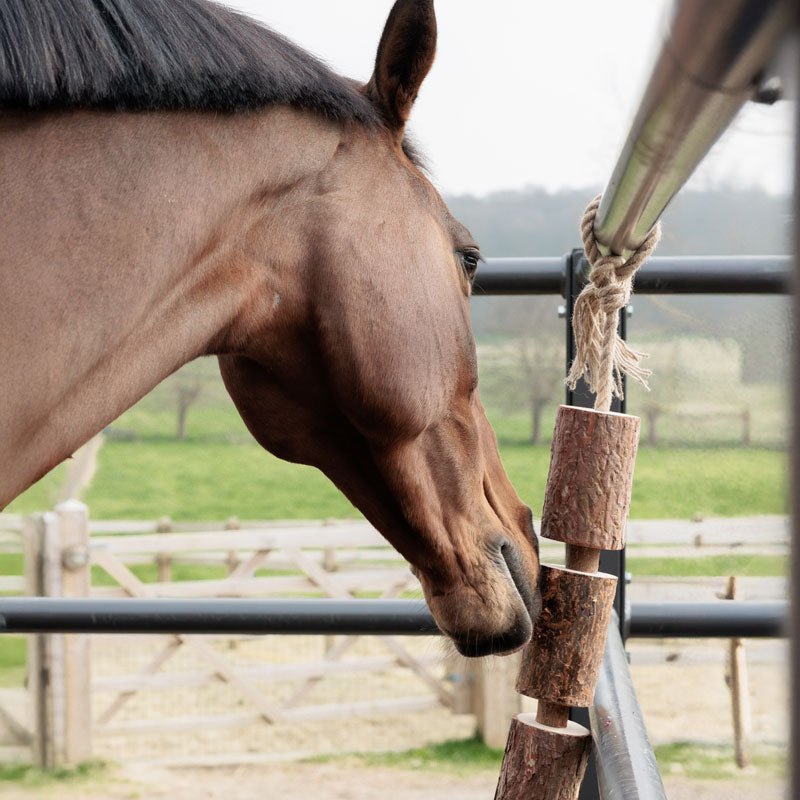 Grooming Deluxe Wooden Relax Horse Toy – Nature - Nags Essentials