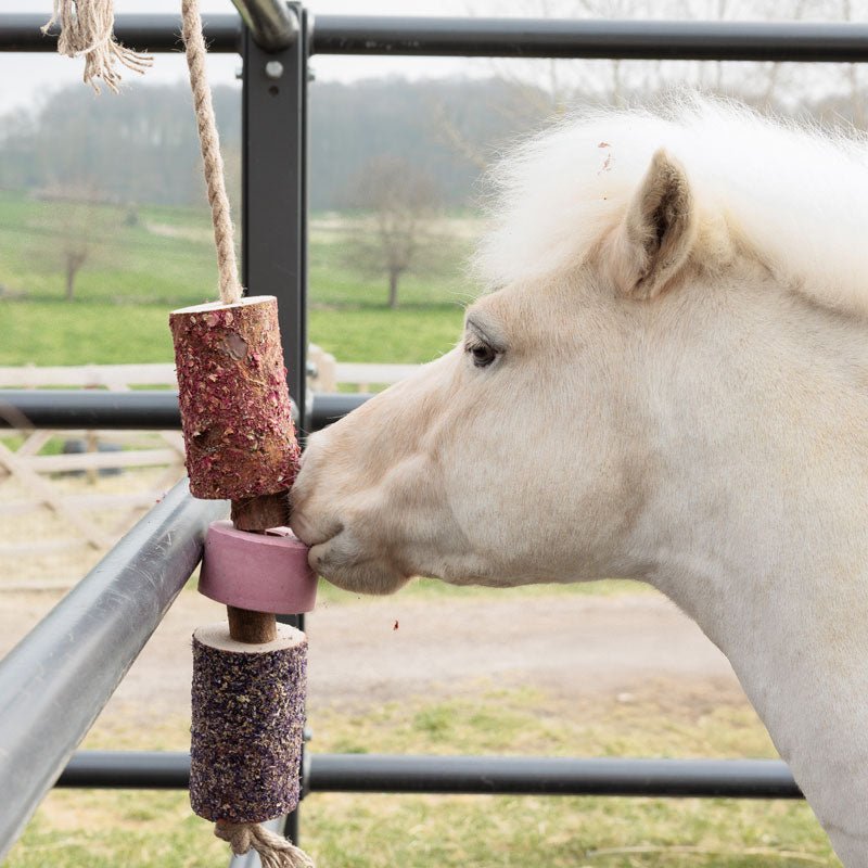 Grooming Deluxe Wooden Relax Horse Toy with Salt Lick - Sammy - Nags Essentials