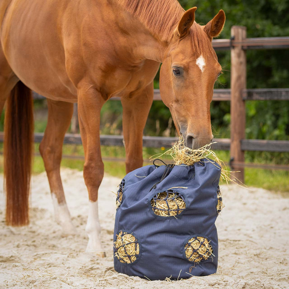 Hay Bag Multi - Nags Essentials