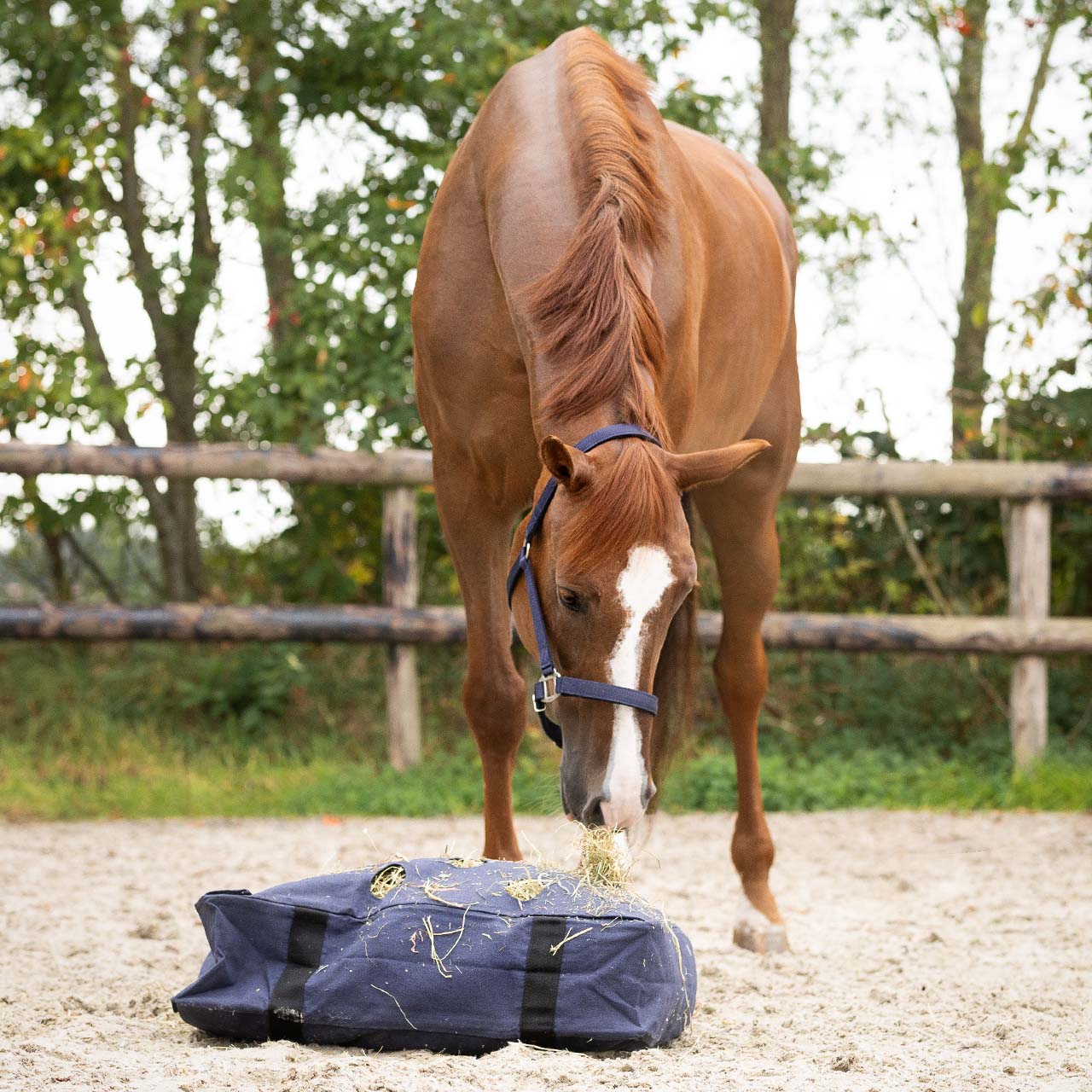 Hay Cushion - Nags Essentials