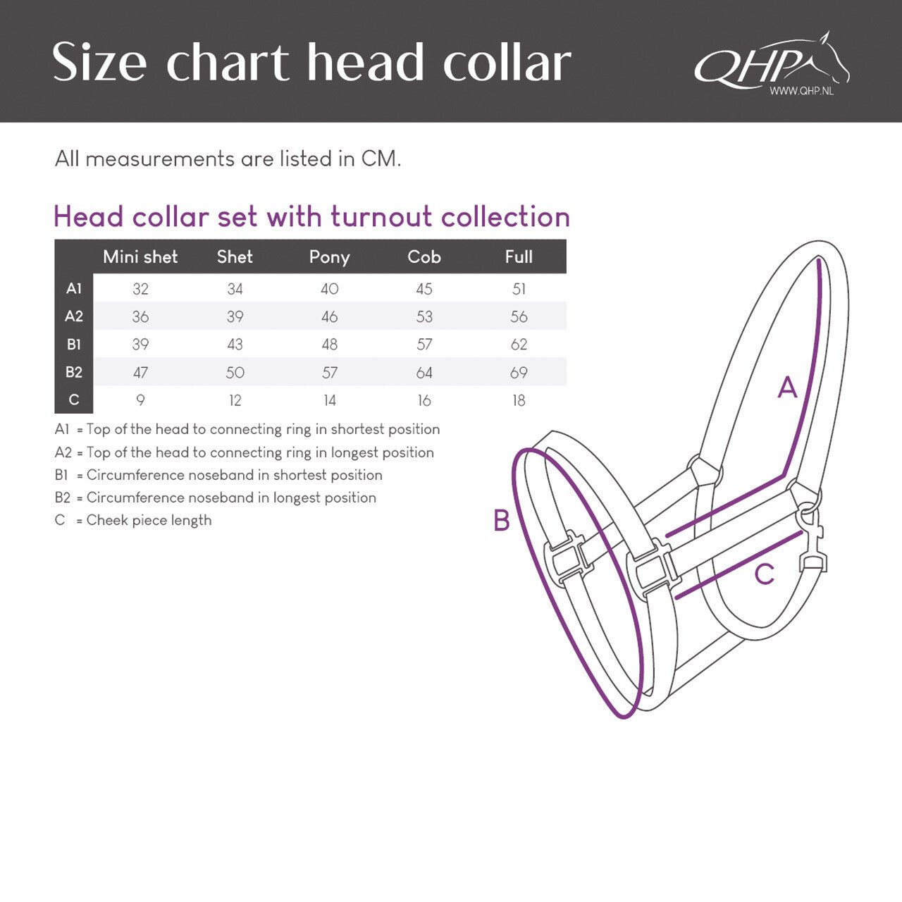 Head Collar Set - Turnout Collection - Nags Essentials