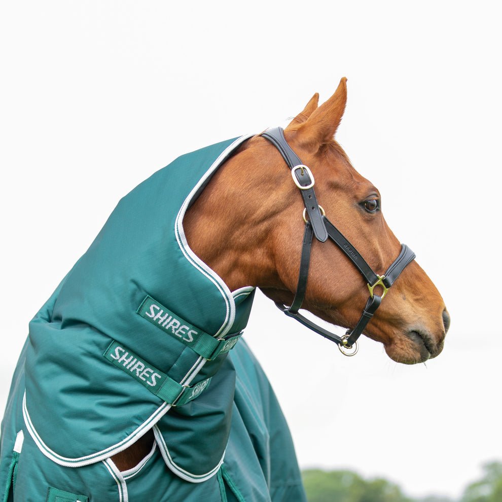 Highlander Original 300 Turnout Neck Cover - Green - Nags Essentials