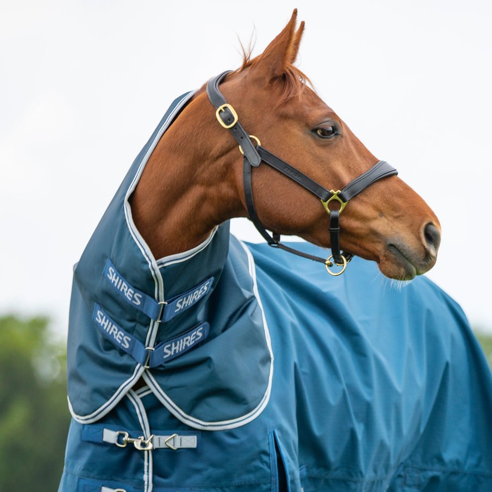 Highlander Original 50 Neck Cover - Ocean - Nags Essentials