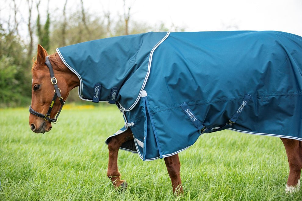 Highlander Original 50 Turnout Rug & Neck Set - Ocean - Nags Essentials