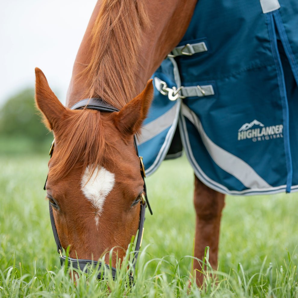 Highlander Original 50 Turnout Rug & Neck Set - Ocean - Nags Essentials