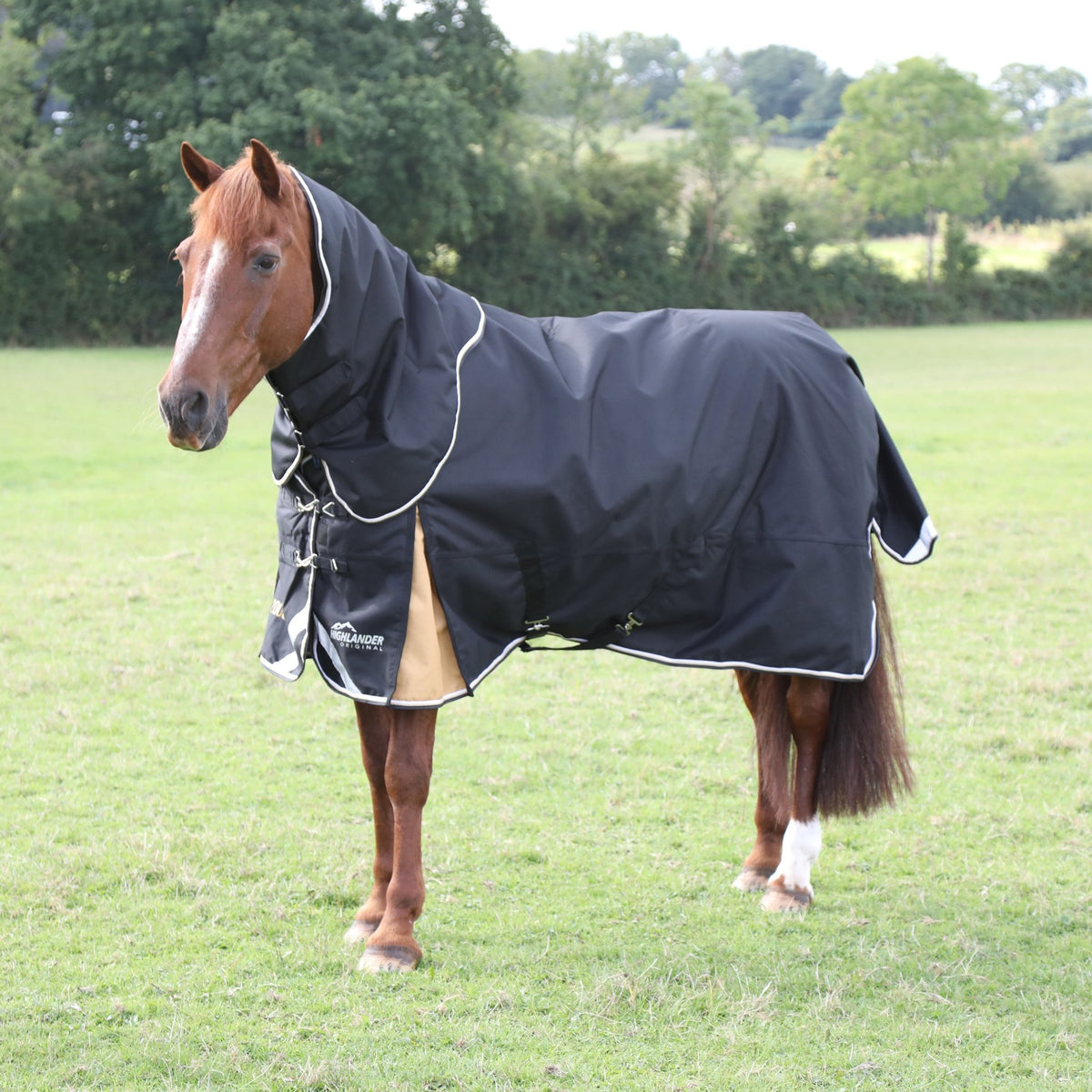 Highlander Plus 200 Turnout Rug &amp; Neck Set - Black - Nags Essentials