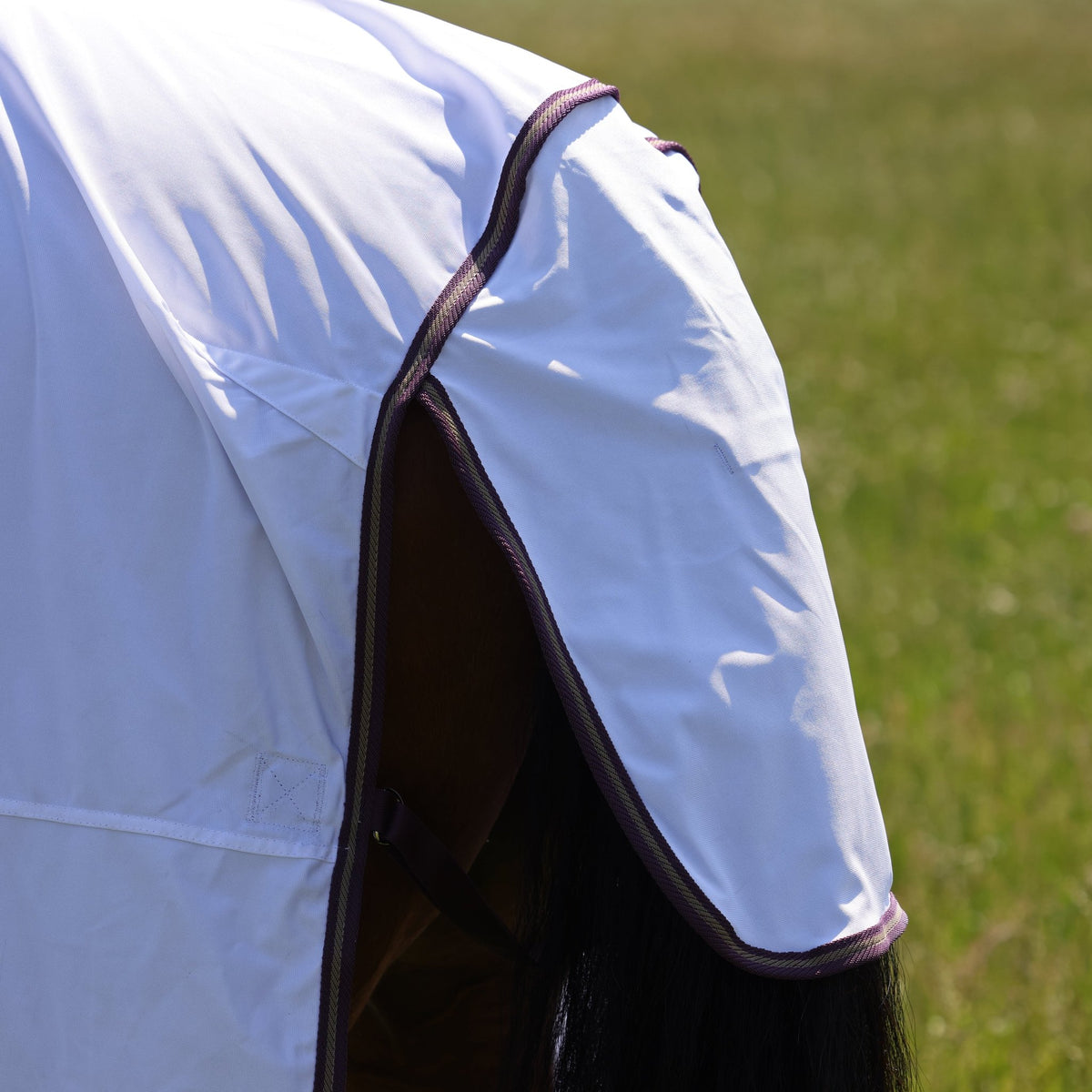 Highlander Plus Fly Sheet Combo Rug - Nags Essentials