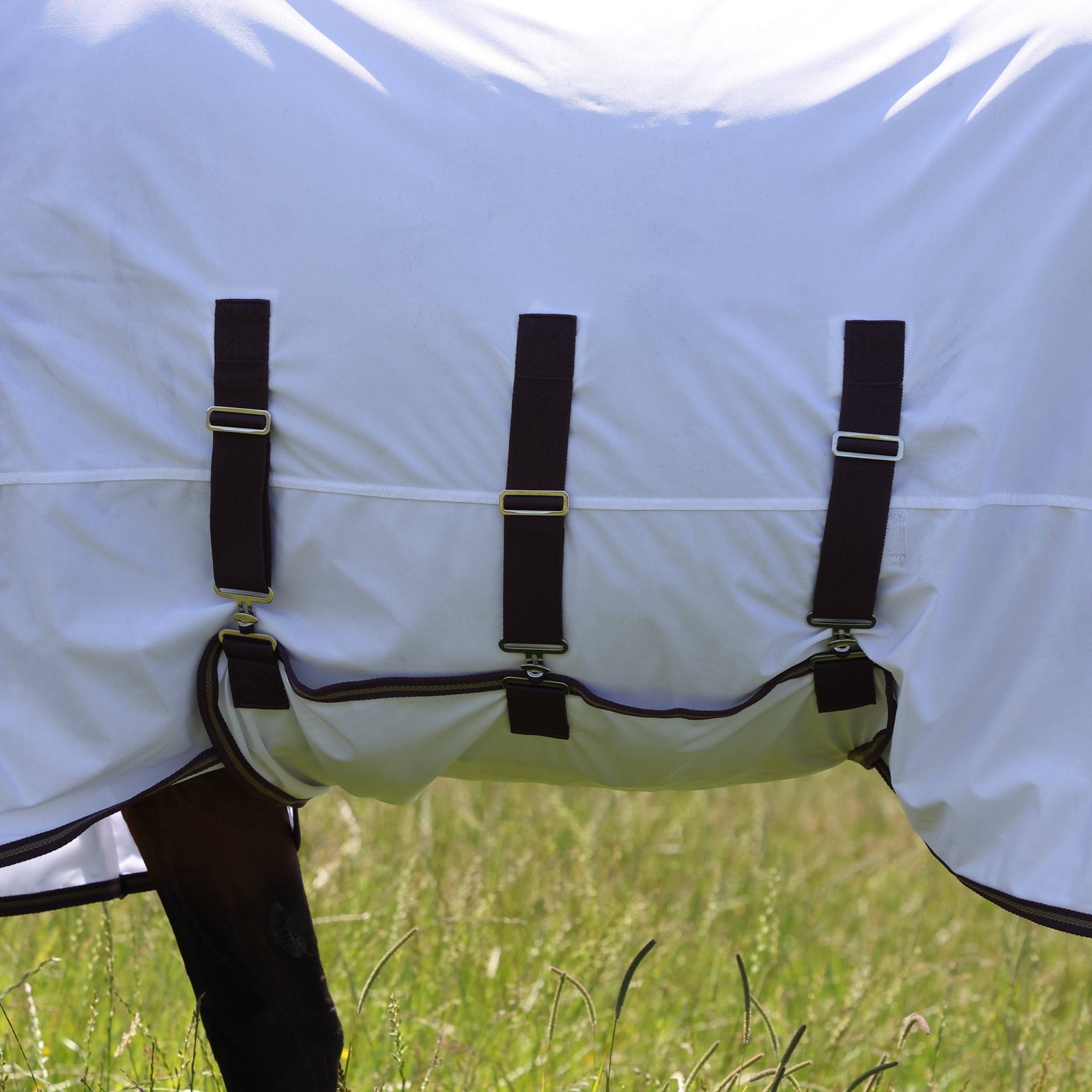 Highlander Plus Fly Sheet Combo Rug - Nags Essentials