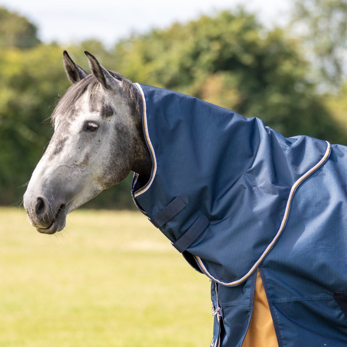 Highlander Plus Lite Turnout Rug Neck Cover - Navy - Nags Essentials