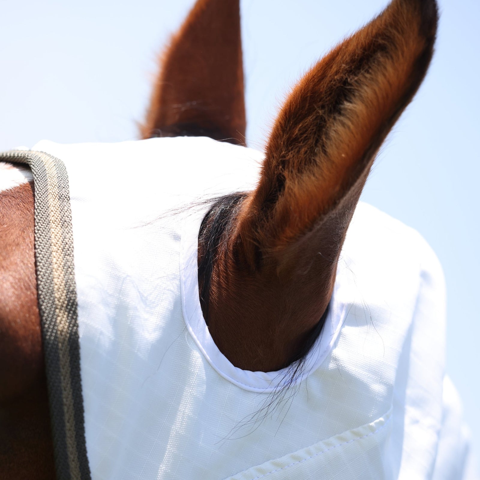 Highlander Plus Sun Shade Fly Combo Rug - Nags Essentials