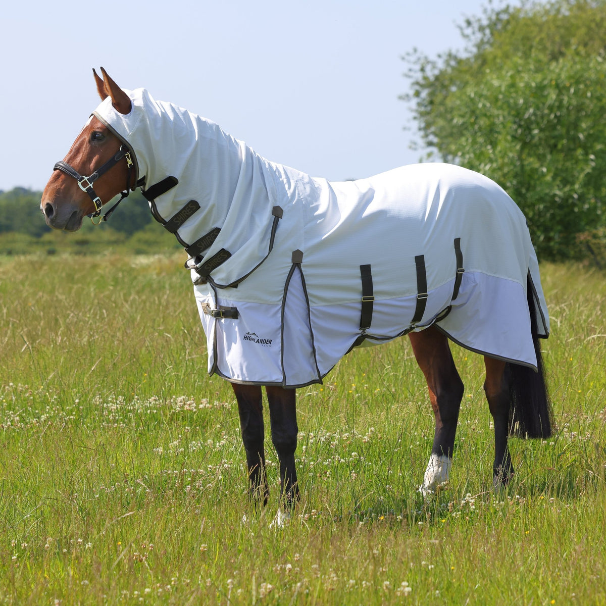 Highlander Plus Sun Shade Fly Combo Rug - Nags Essentials