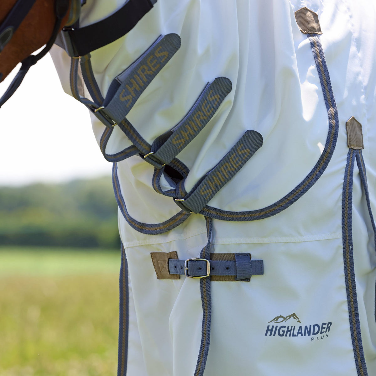 Highlander Plus Sweet - itch Combo Rug - Nags Essentials