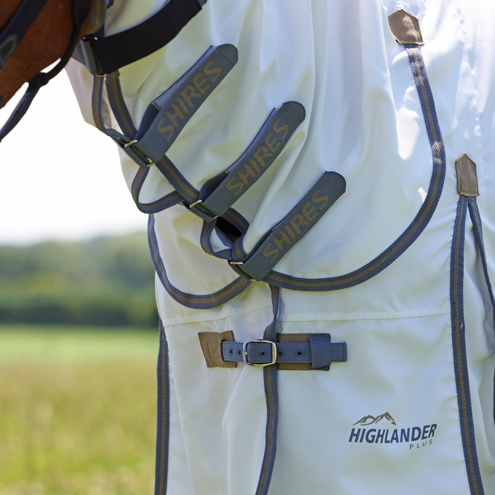 Highlander Plus Sweet - itch Combo Rug - Nags Essentials