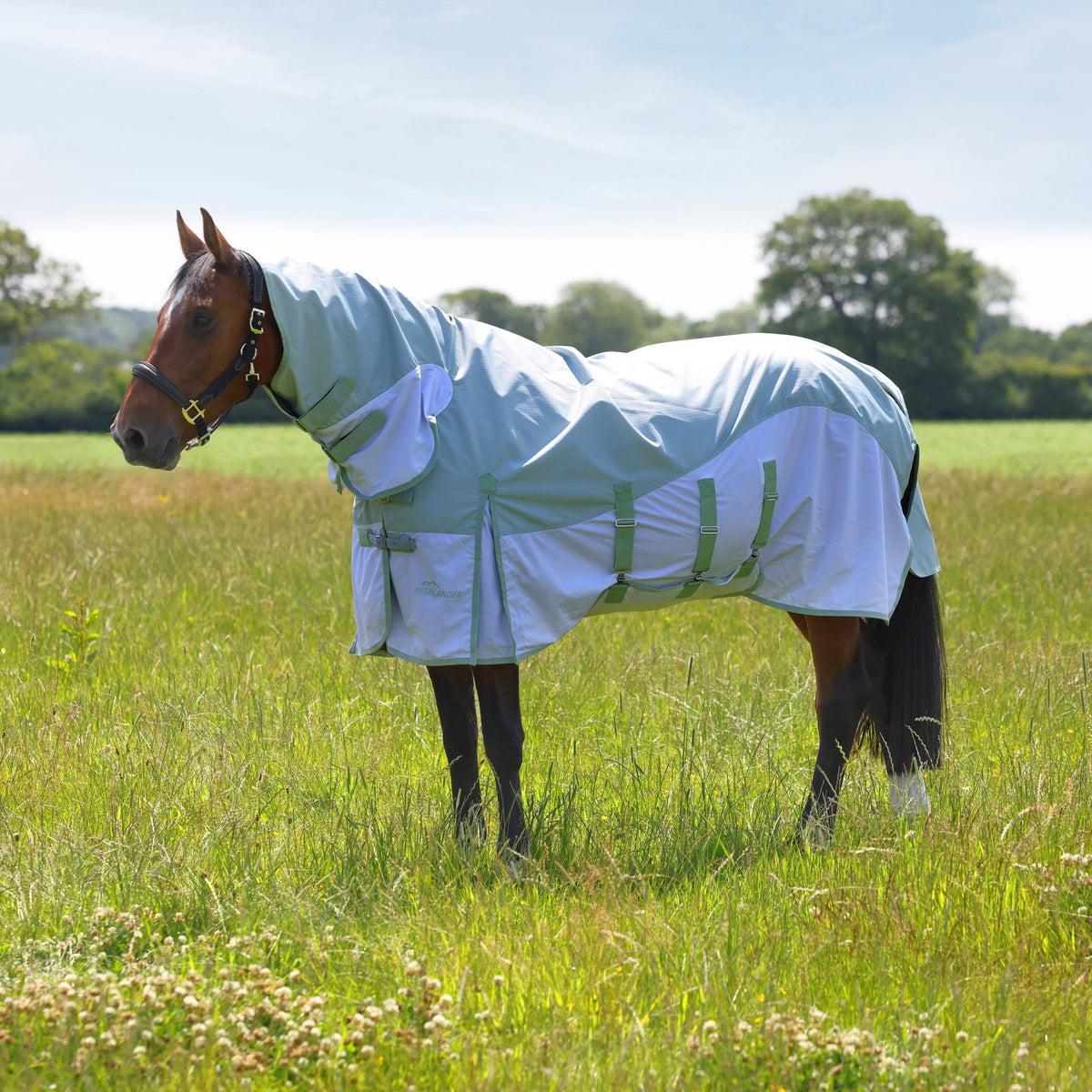 Highlander Plus Sweet - itch Combo Rug - Nags Essentials
