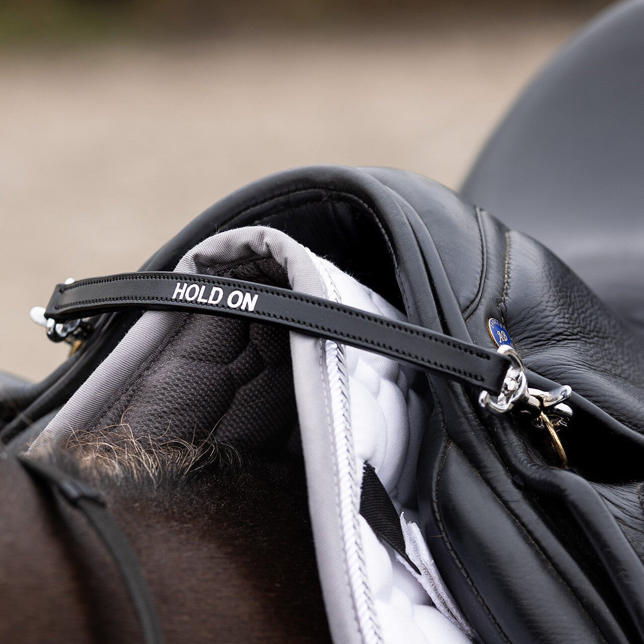 HOLD ON Strap - Nags Essentials