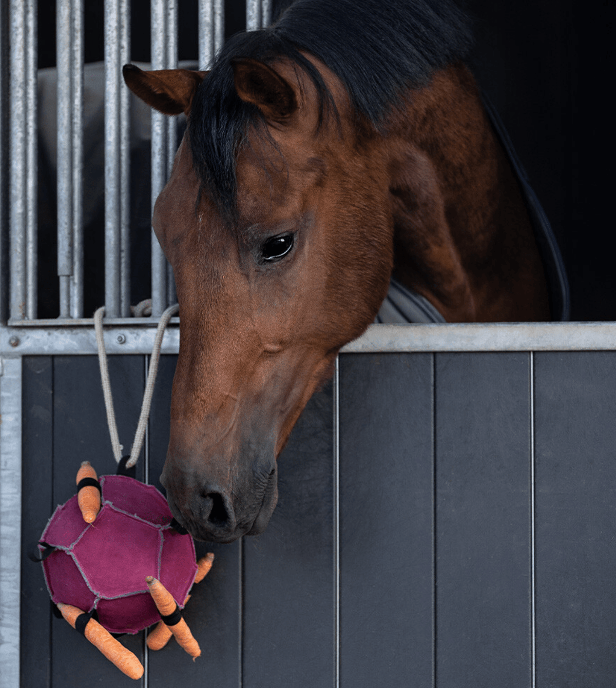 Horse Toy Ball - Nags Essentials