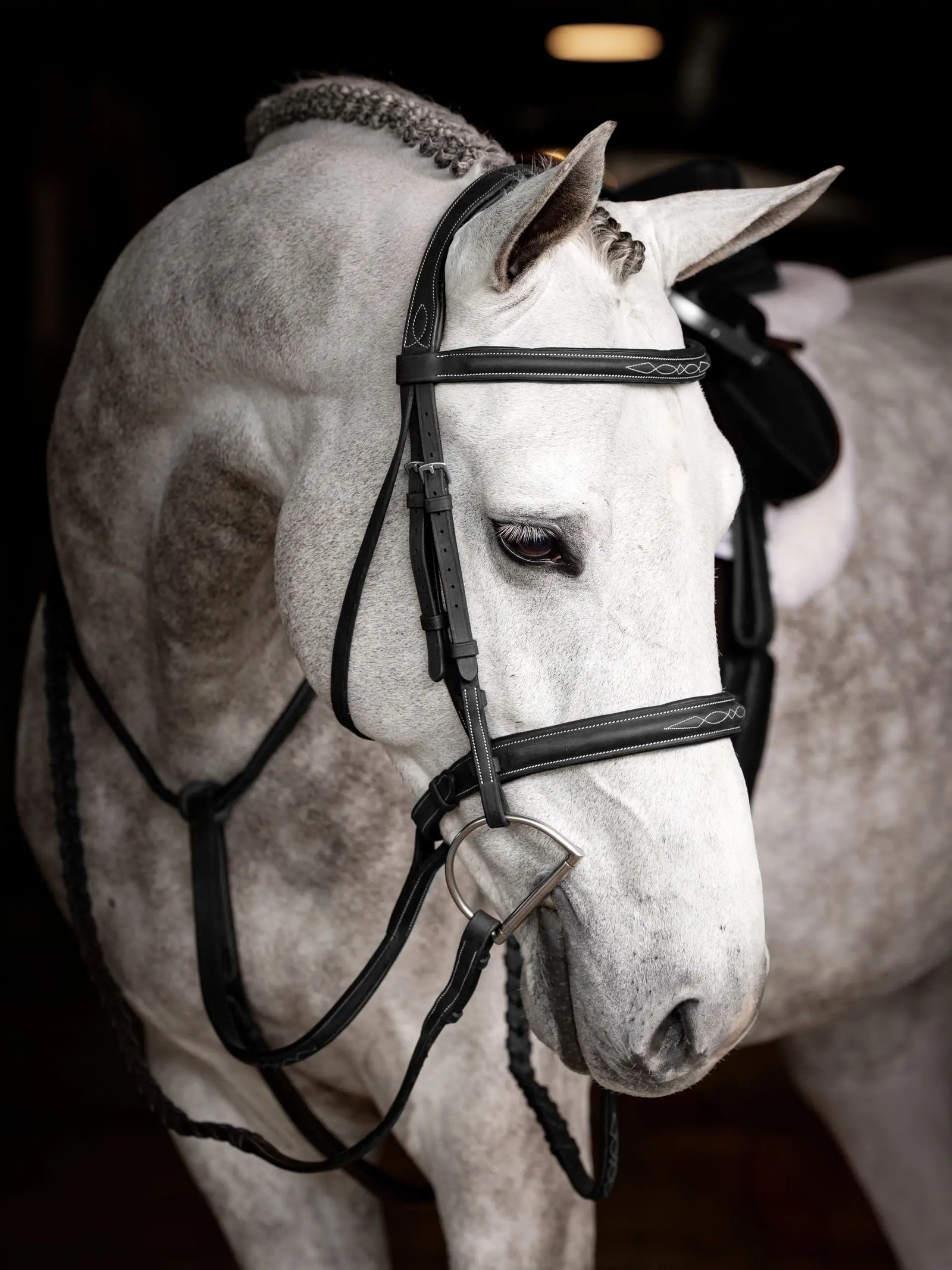 LeMieux Stitched Hunter Bridle with Laced Reins