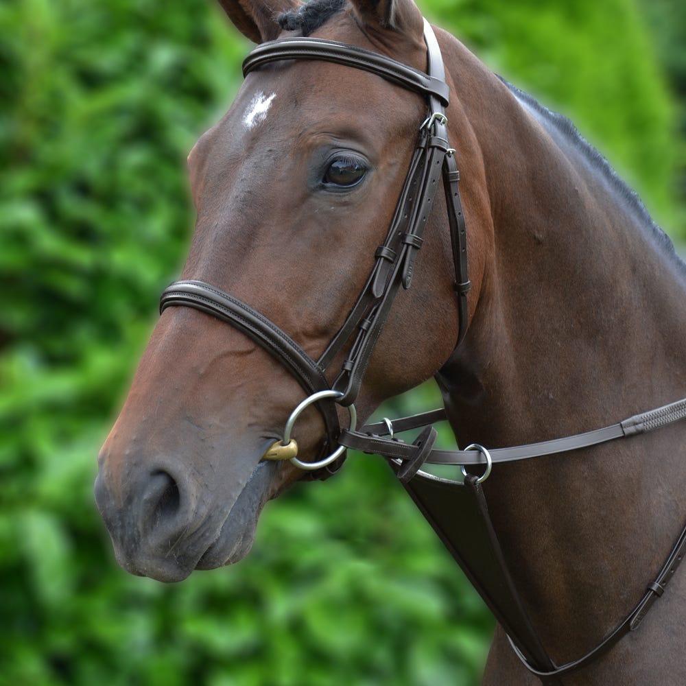 Hy Equestrian Bib Martingale - Nags Essentials