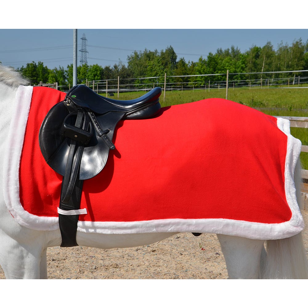 Hy Equestrian Christmas Santa Exercise Sheet - Nags Essentials