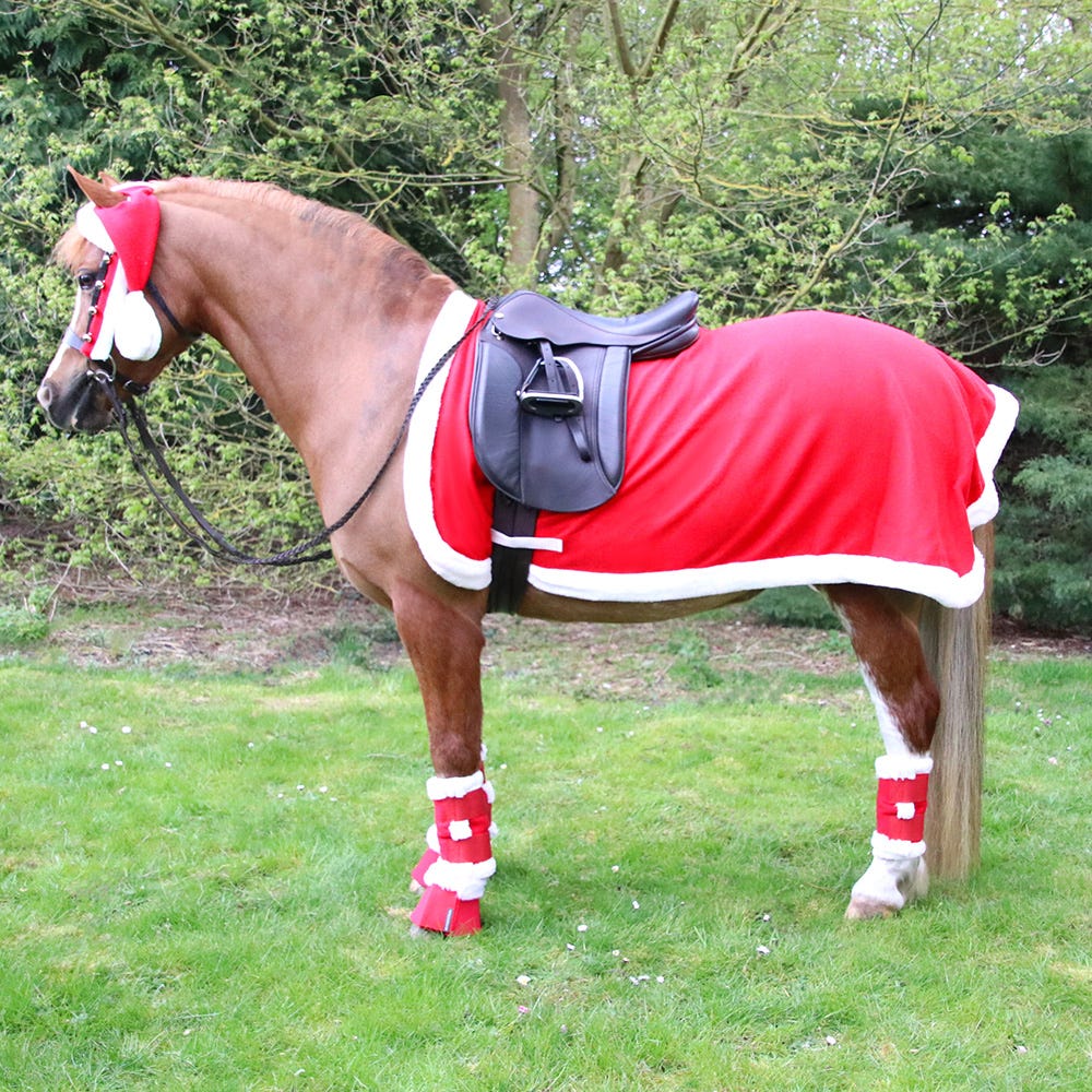 Hy Equestrian Christmas Santa Exercise Sheet - Nags Essentials