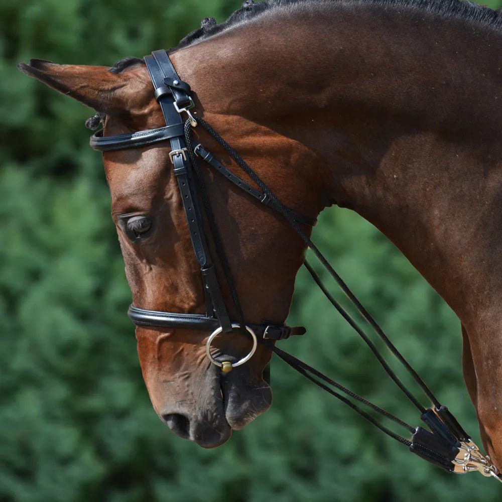 Hy Equestrian De Gouge - Nags Essentials