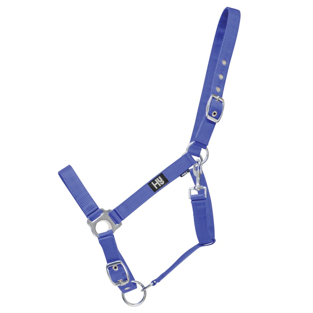 Hy Equestrian Economy Plus Head Collar - Nags Essentials