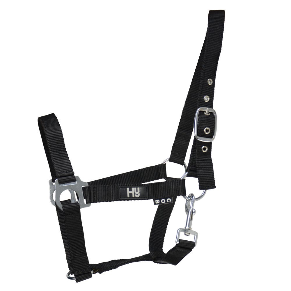 Hy Equestrian Economy Plus Head Collar - Nags Essentials