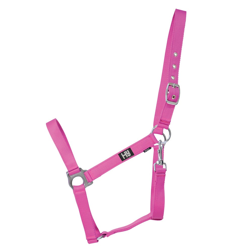 Hy Equestrian Economy Plus Head Collar - Nags Essentials