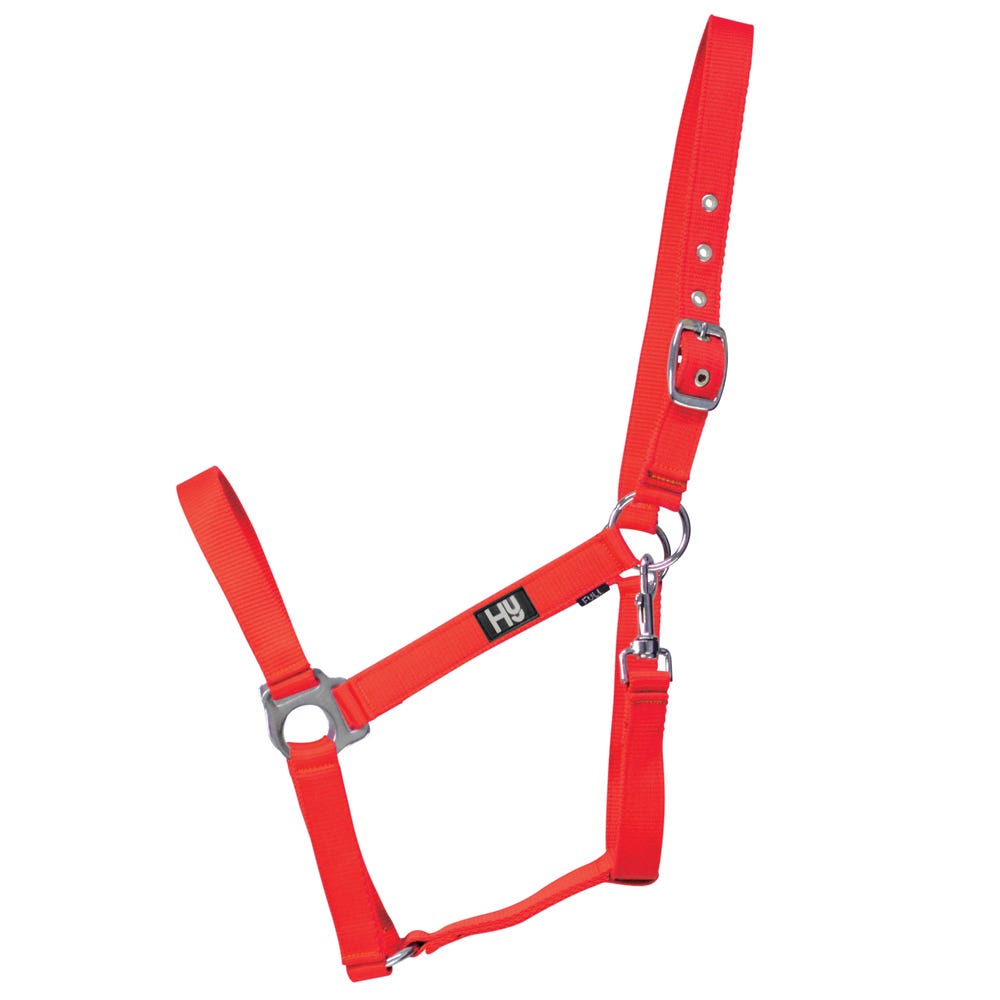 Hy Equestrian Economy Plus Head Collar - Nags Essentials