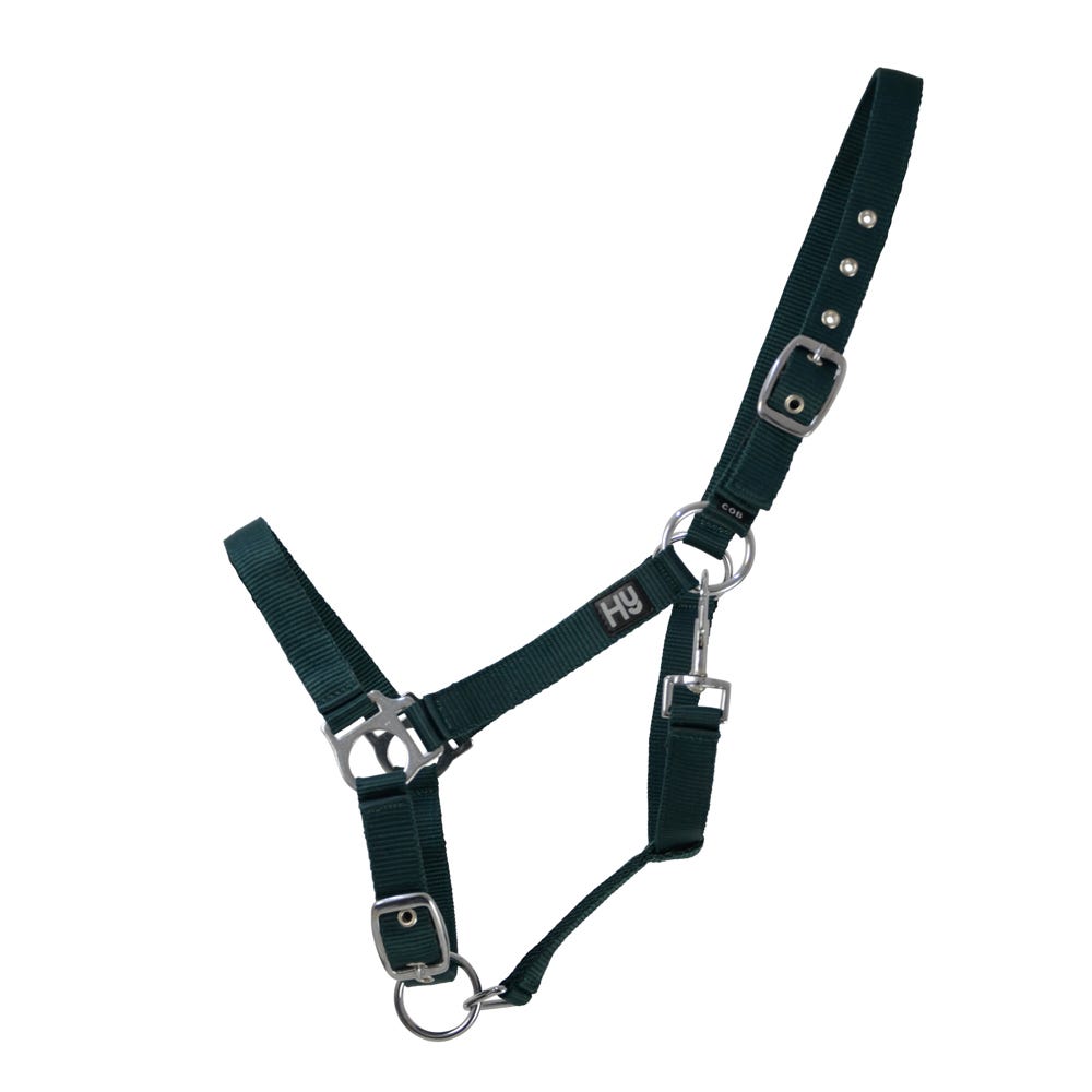 Hy Equestrian Economy Plus Head Collar - Nags Essentials