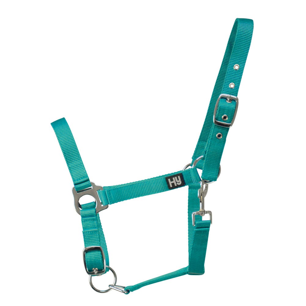Hy Equestrian Economy Plus Head Collar - Nags Essentials
