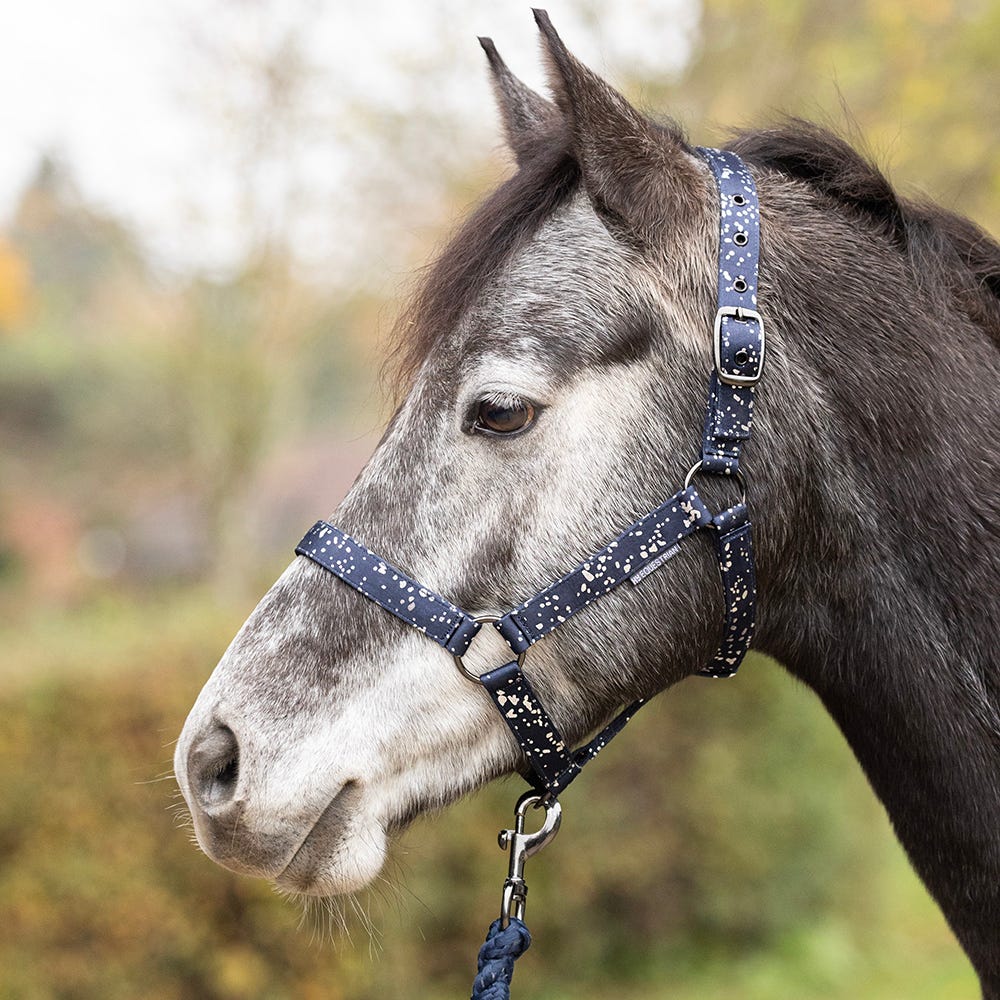 Hy Equestrian Elevate Allure Head Collar and Lead Rope - Nags Essentials