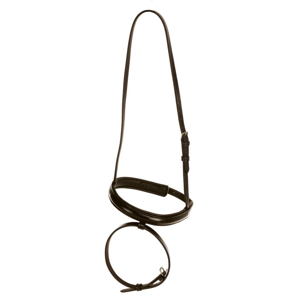 Hy Equestrian Flash Nose Band - Nags Essentials