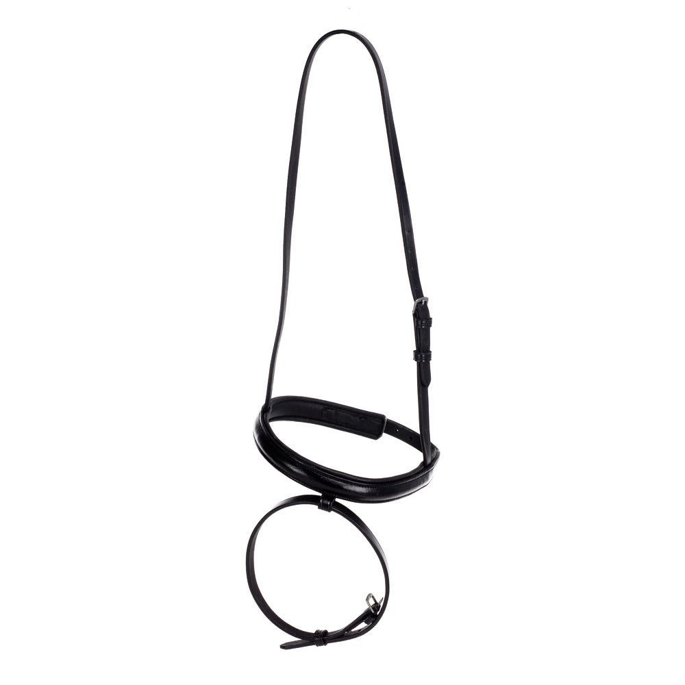 Hy Equestrian Flash Nose Band - Nags Essentials