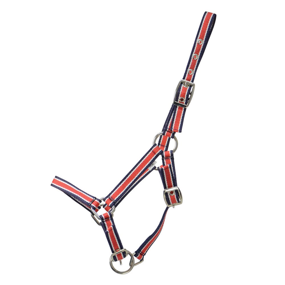 Hy Equestrian Foal Plus Head Collar - Nags Essentials
