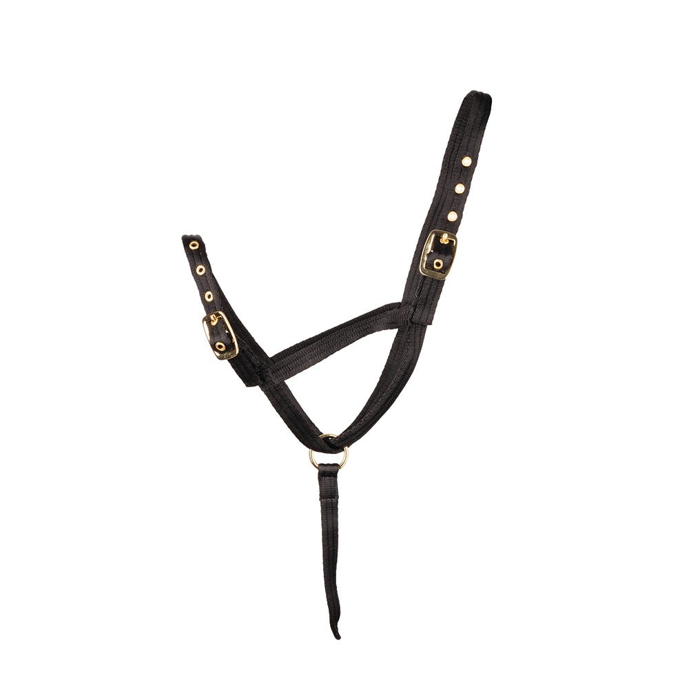 Hy Equestrian Foal Slip Halter - Nags Essentials