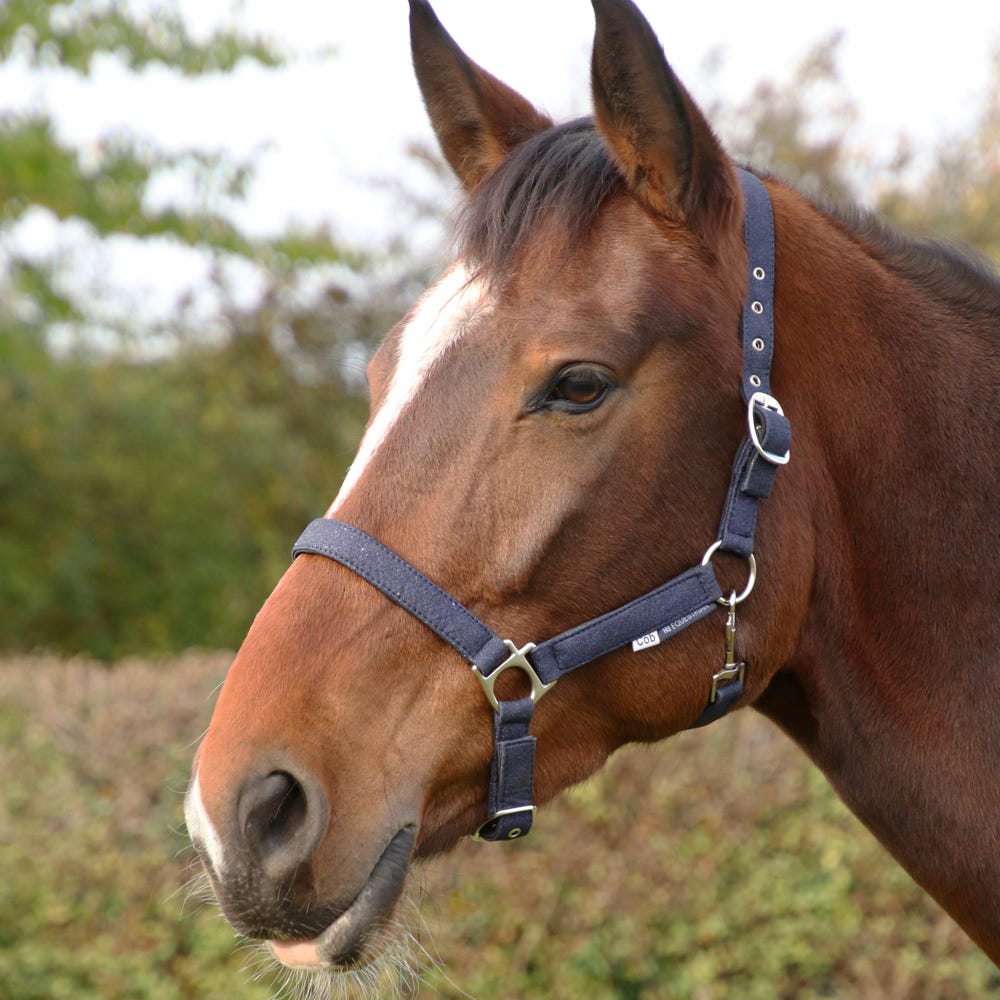 Hy Equestrian Glitzy Headcollar - Nags Essentials