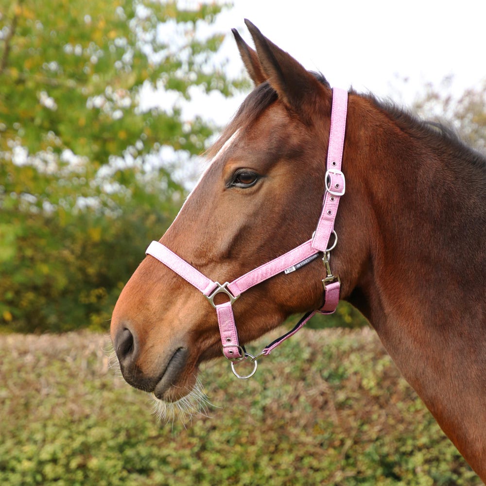 Hy Equestrian Glitzy Headcollar - Nags Essentials
