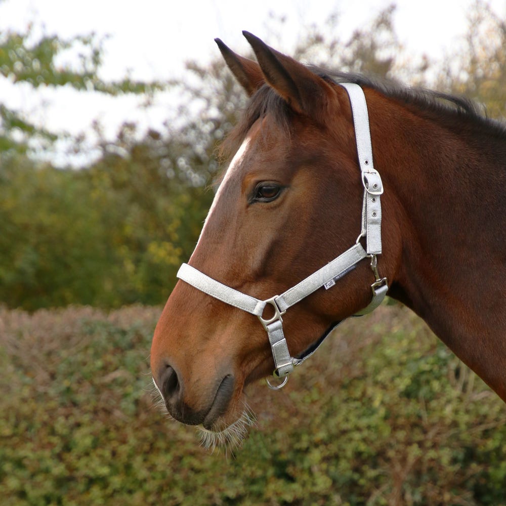 Hy Equestrian Glitzy Headcollar - Nags Essentials