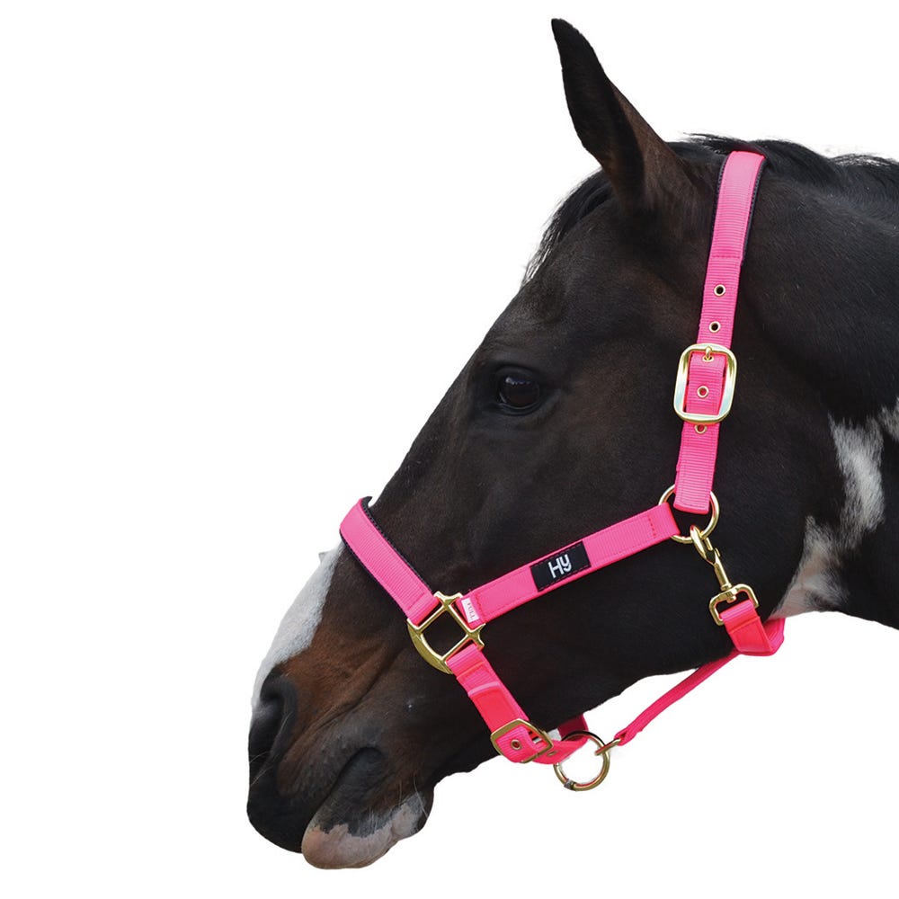 Hy Equestrian Grand Prix Head Collar - Nags Essentials