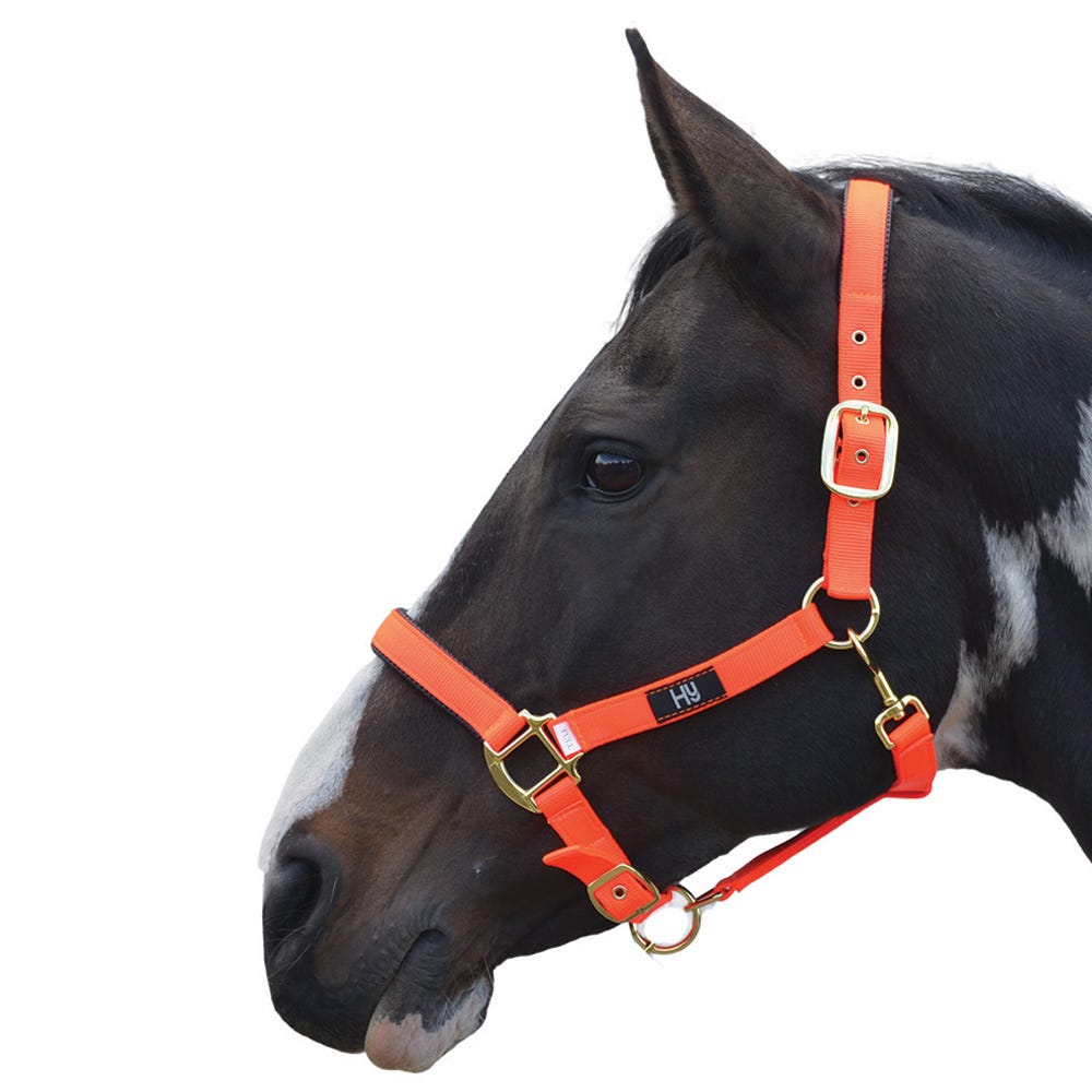 Hy Equestrian Grand Prix Head Collar - Nags Essentials