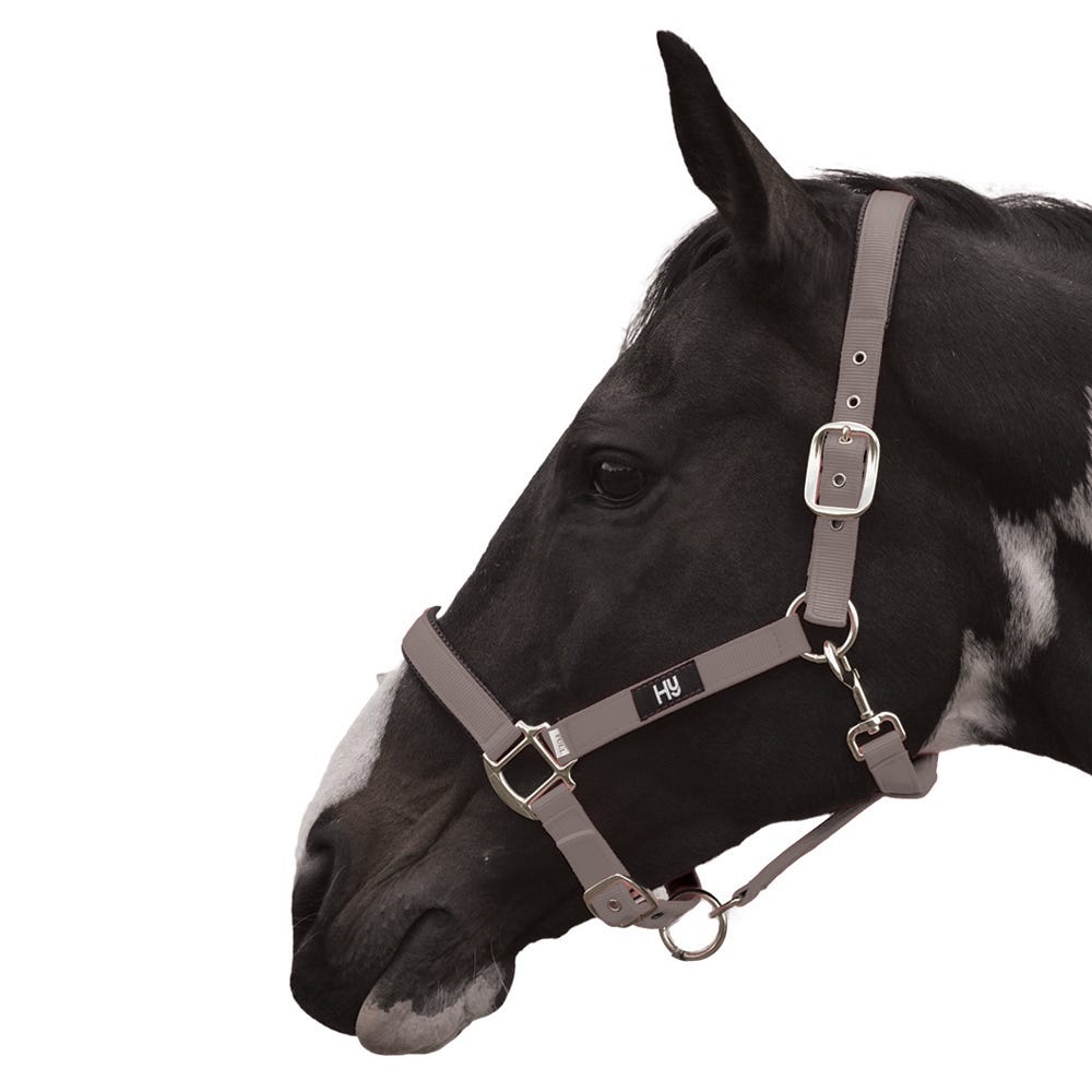Hy Equestrian Grand Prix Head Collar - Nags Essentials
